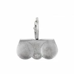 Auslauf 🌟 ANY DI GmbH SunCover Brillenetui Metallic Silver 🛒